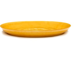 Dish Feast