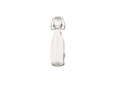 Bottle with Swing Top
