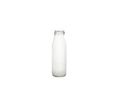 Milk Bottle Excl/Screw Cap